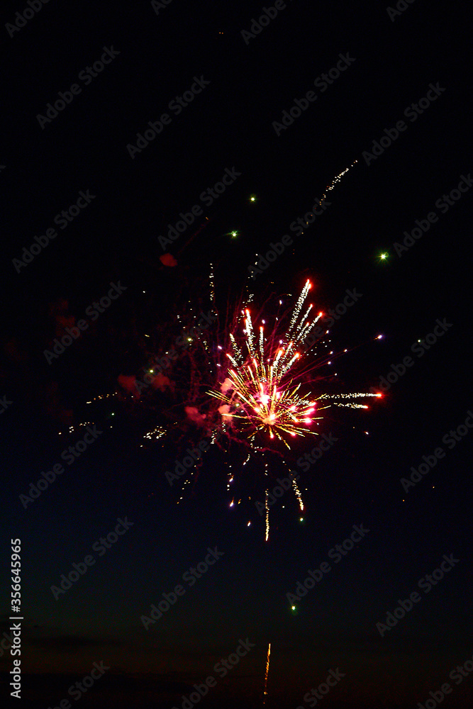 Fototapeta premium Colorful festive fireworks on a black sky background.