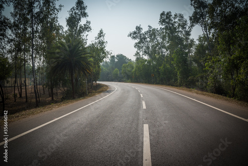 In between is a quiet winding road and a combination of trees on both sides