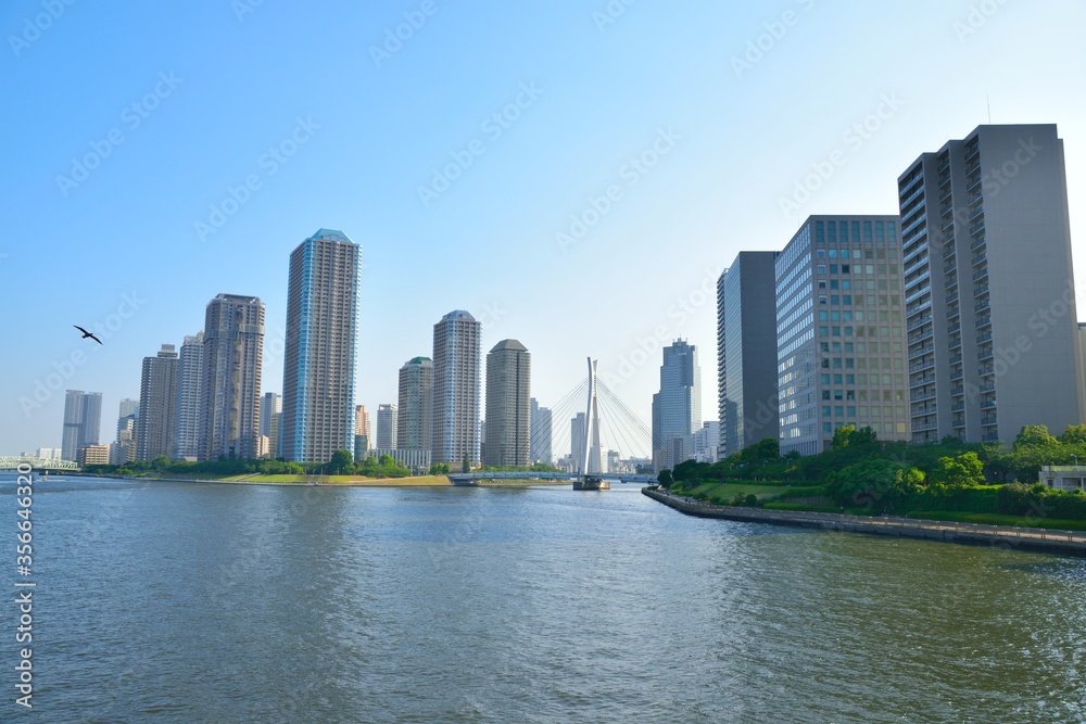 永代橋からの風景/Sumida River Sight from EITAIBASHI 永代橋からの風景/Sumida River Sight from EITAIBASHI