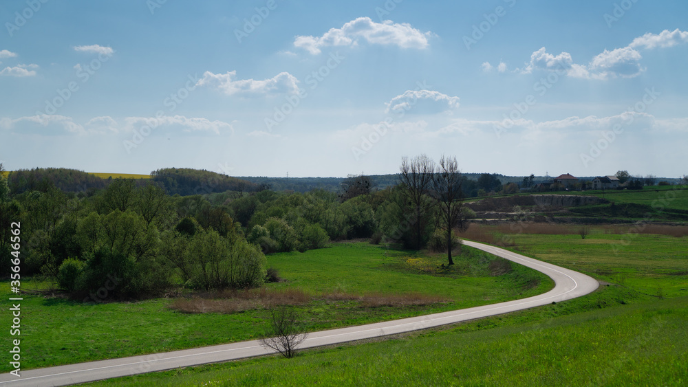 Countryside road in Ukraine. Green fields and blue sky. Winding country side road between meadows and trees. clear day