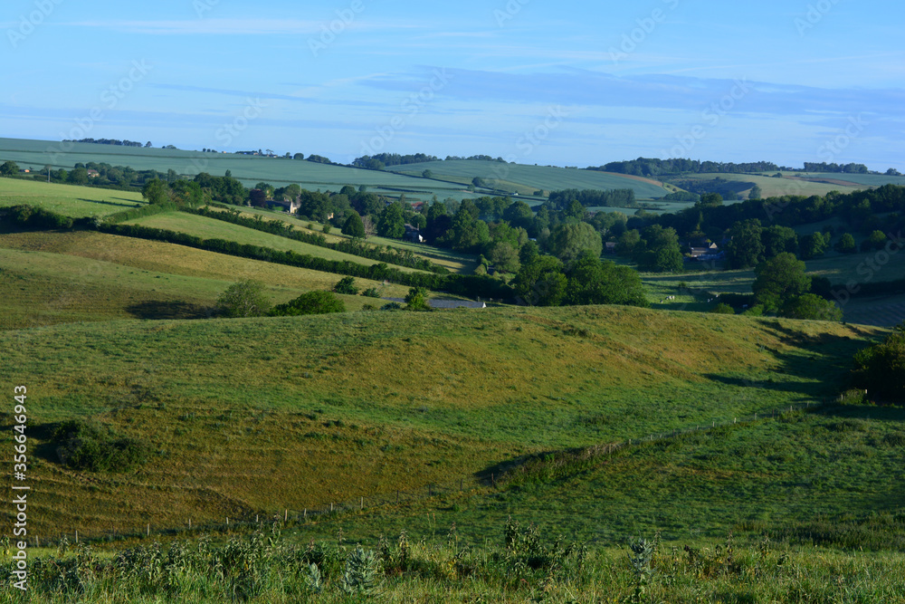 Obraz premium Panoramic view of countryside in summer, looking towards the hamlet of Poyntington from Donkey Lane trail Sherborne, Dorset, England