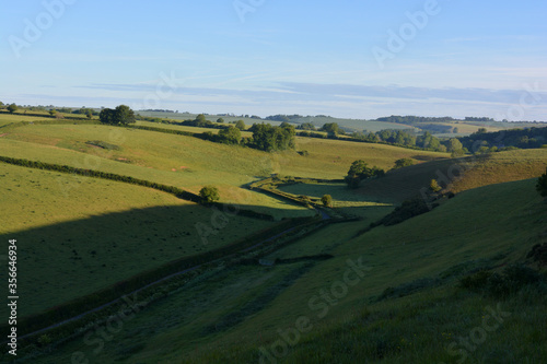 Early morning view of lane from Oborne to Poyntington going along the valley through lush green fields, Oborne, Sherbonre Dorset, England.