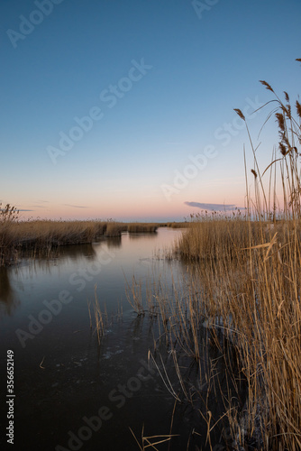 Lake Neusiedl and its reed belt at sunset in spring, Austria