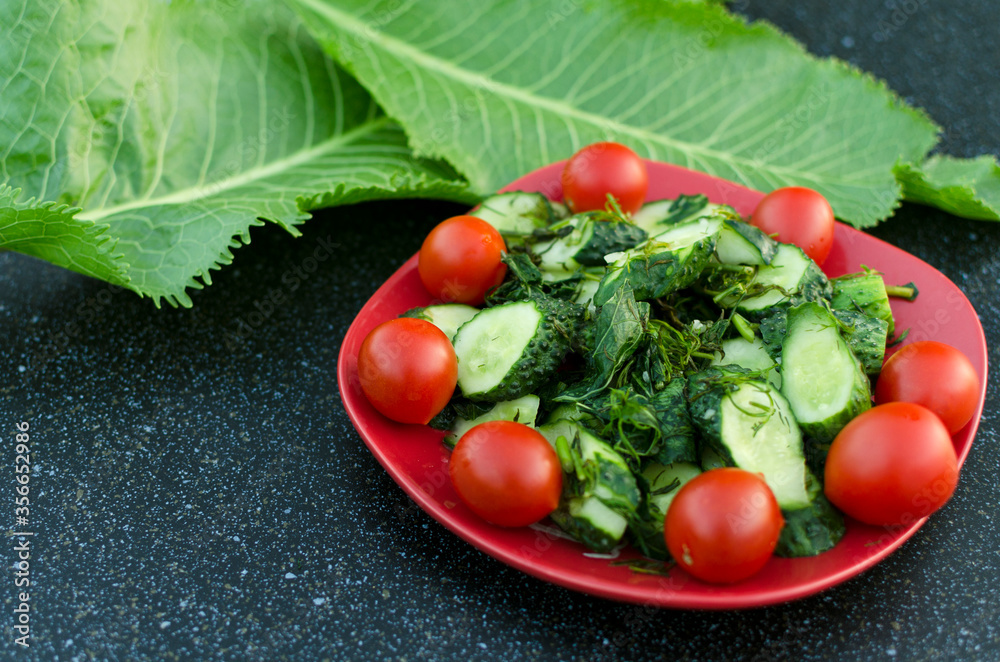 Closeup of red dish full of cherry tomatoes, cucumbr and dill, horseradish leaves on the dark kitchen table Closeup of red dish full of cherry tomatoes, cucumbr and dill, horseradish leaves on the dark kitchen table