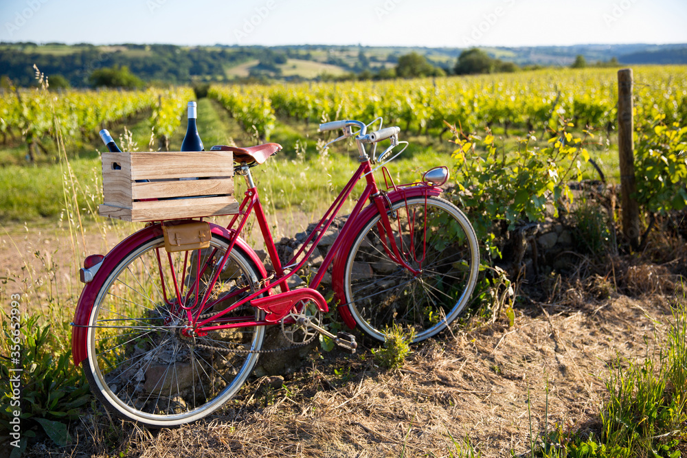 Vieux vélo rouge dans les vignes, une caisse de bouteilles de vin rouges sur le porte bagage.