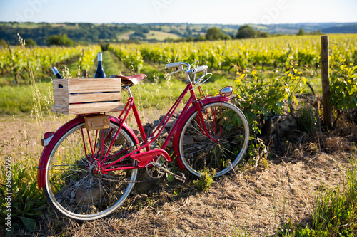 Vieux vélo rouge dans les vignes, une caisse de bouteilles de vin rouges sur le porte bagage.