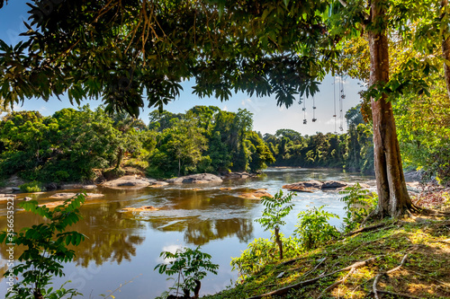 Fototapeta Naklejka Na Ścianę i Meble -  View on the Suriname river in Upper Suriname, Awarradam jungle camp