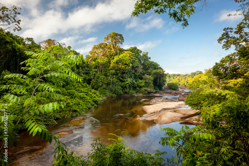 View on the Suriname river in Upper Suriname, Awarradam jungle camp