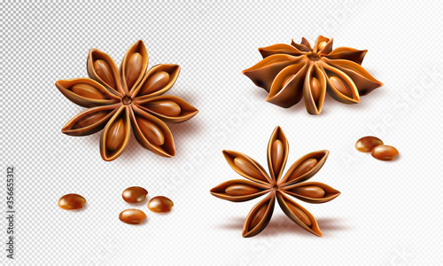 Star anise. Set of star anise fruits. Quality realistic vector, 3d illustration