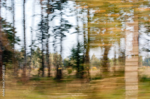 blurry trees speed