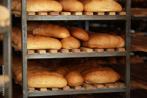 baked fresh bread on shelf. buns from the oven. Baking bread. Transportation of baking. Confectionery.