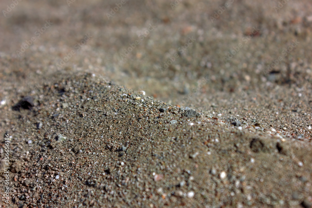 Natural texture of wet sand. Close-up photo. Background. Natural texture of wet sand. Close-up photo. Background.