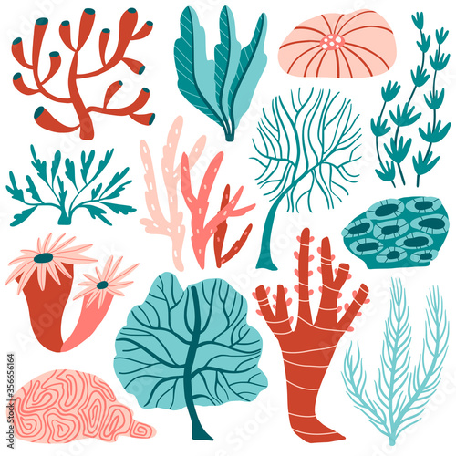 Set of underwater plants, corals, algae
