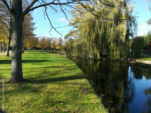 lake in the park