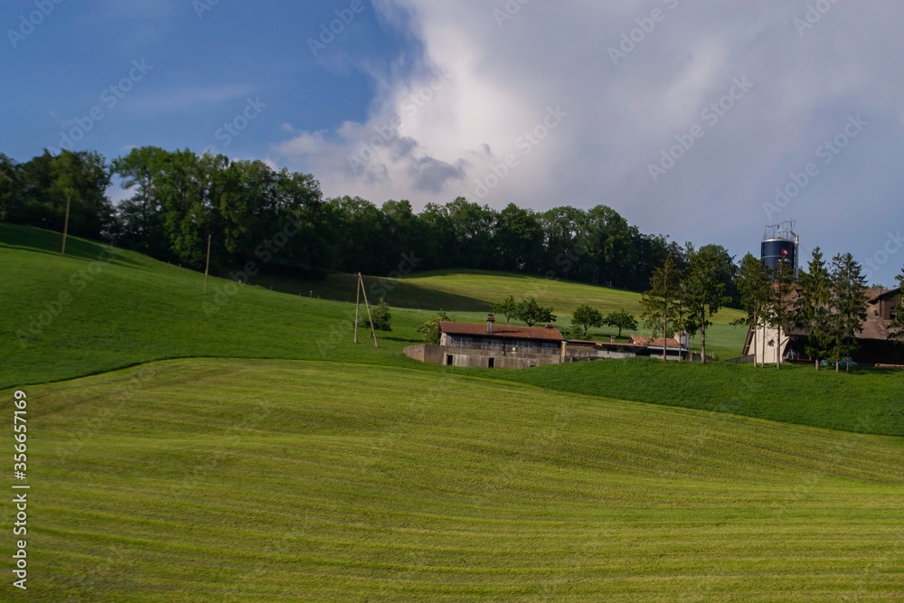 Obraz premium houses on the slopes of green hills in Switzerland