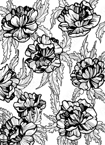 hand drawn black and white peony pattern with leaves on paper 