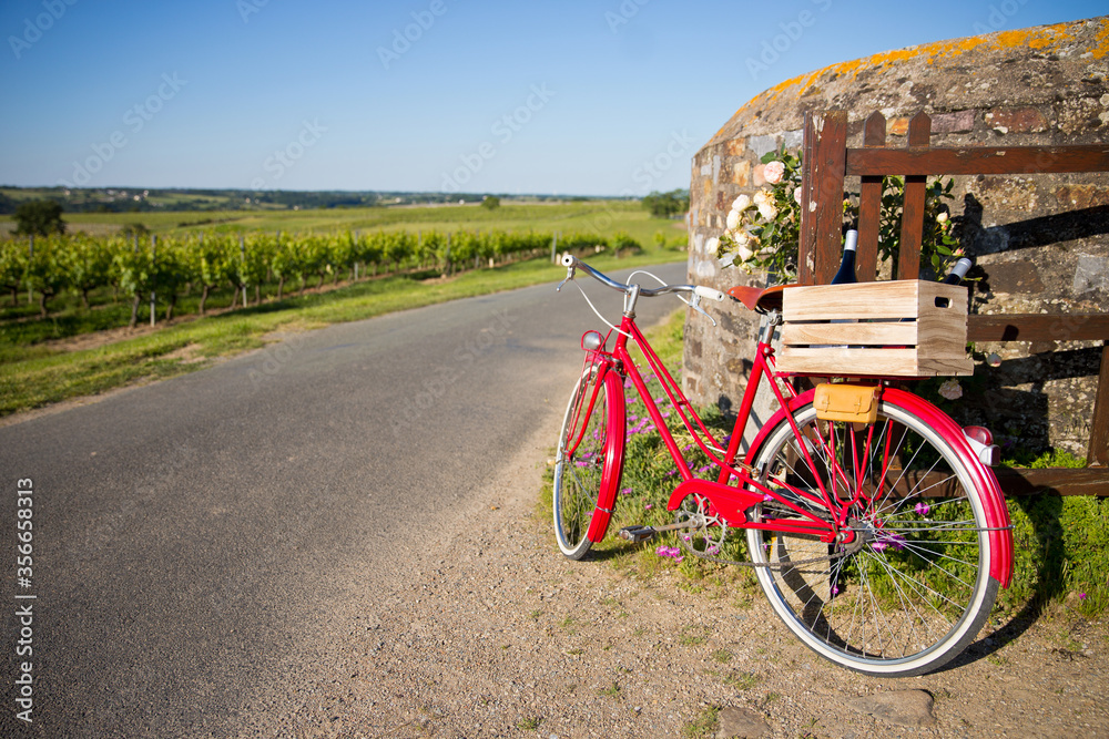 Caisse de vin à l'arrière d'un vieux vélo rouge dans les vignes en France.