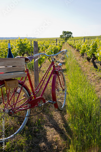 Vieux vélo rouge dans un vignoble et caisse de bouteilles de vins.
