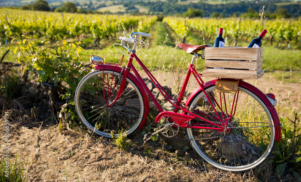 Vieux vélo rouge d'un viticulteur au milieu des vignes.