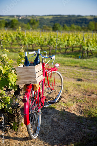 Vieux vélo rouge dans les vignes en France, caisse de bouteilles de vins sur le porte bagages.