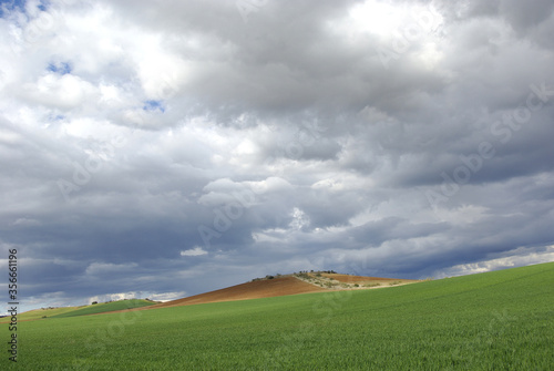 Naturaleza, paisaje de campos ytierra de cultivo, sembrado con llamativo cielo. Daganzo. Madrid II