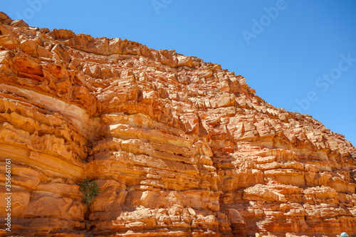 Wallpaper Mural The Sands and mountains of the Sinai desert Torontodigital.ca