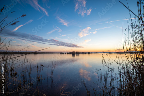 Sunset at Lake Neusiedl with perfekt reflection  Austria