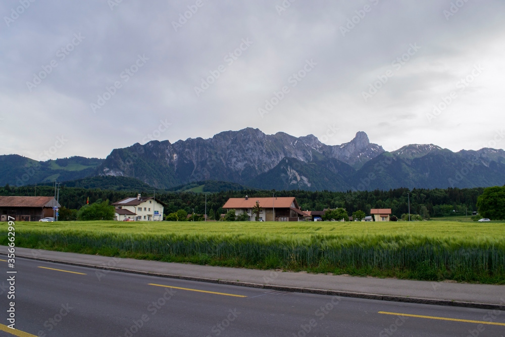 Fototapeta premium view of the road and houses by the alpine mountains in Switzerland