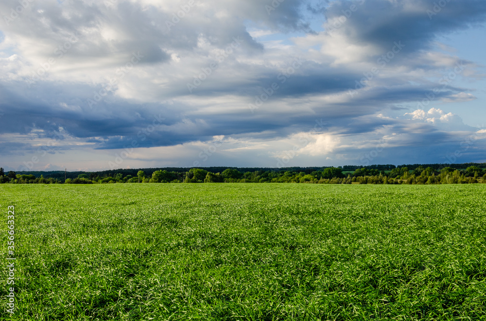Dark blue clouds over a light green field