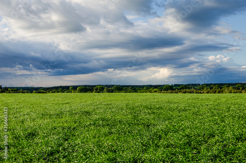 Dark blue clouds over a light green field