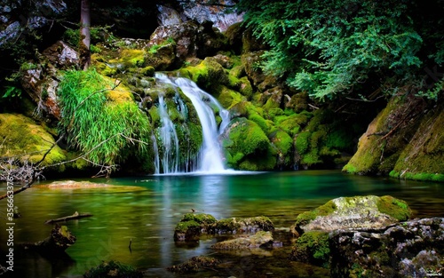 waterfall in the forest