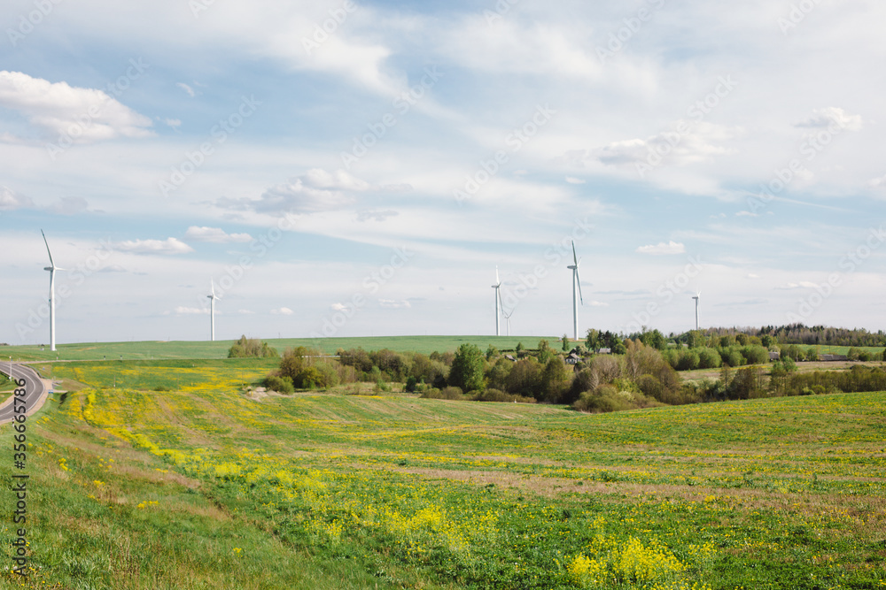 Landscape of a field with yellow flowers, dear and in the background wind farm. Spring nature Landscape of a field with yellow flowers, dear and in the background wind farm. Spring nature