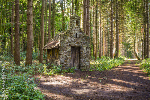 Vieille chapelle perdue dans un bois
