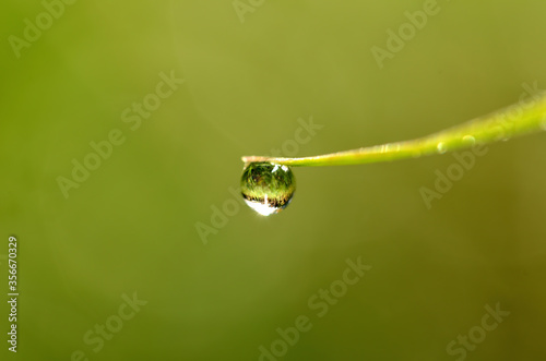 Macro detail of dew drops on a blade of grass in which the beautiful spring meadow is reflected © cobracz