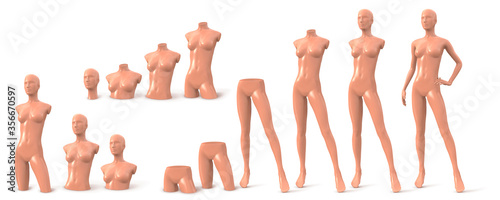 Beige female mannequin of different parts. Big set. Shop equipment for shop windows of fashion stores. Three quarter front view. Vector illustration isolated on white background.