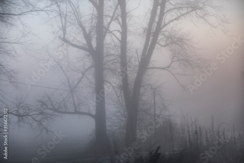 Winterlandschaft mit Nebel und Schnee