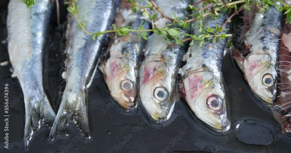 Grilled fresh sardines, roasted with charcoal. Barbecue with delicious
