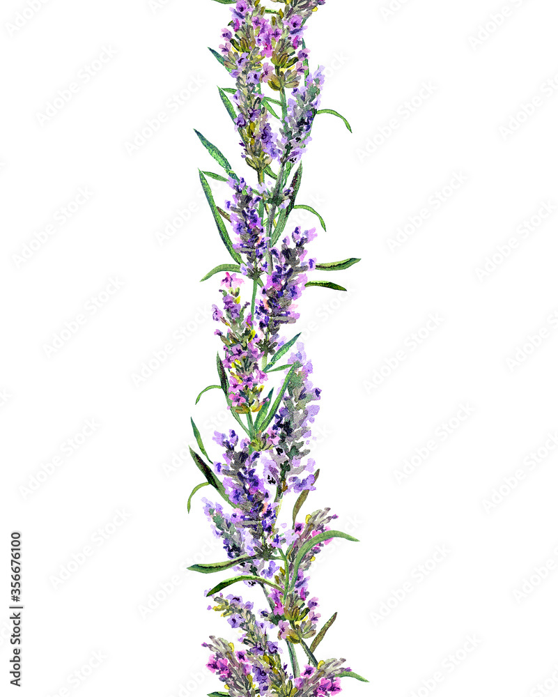 Naklejka premium Lavender seamless border. Watercolor strip