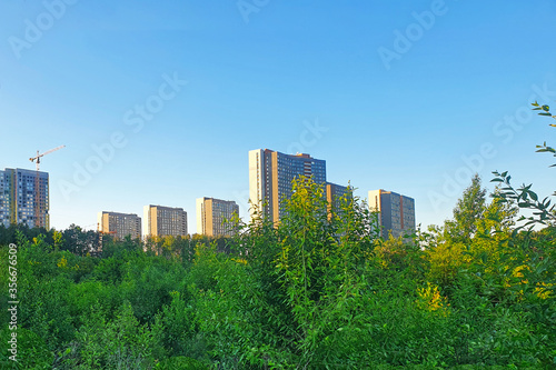 The new urban neighborhood is literally buried in forest stands