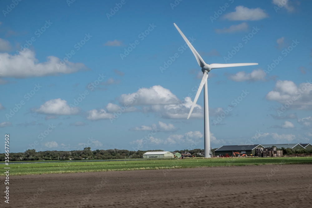 Fototapeta premium Weiden in Nord Holland