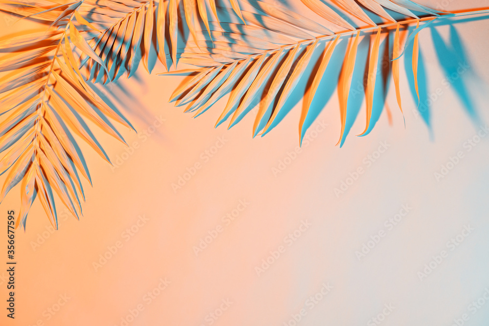 Pastel colored palm leaves