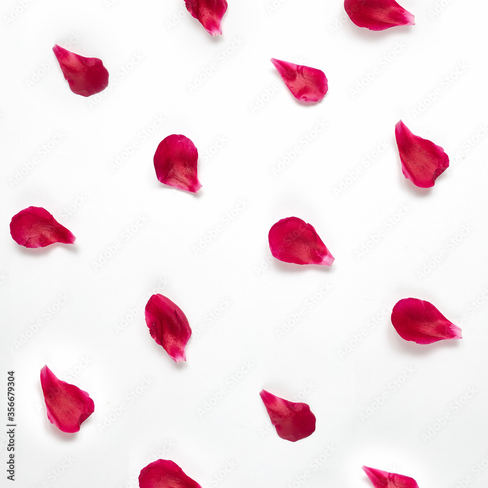 Fototapeta premium Pattern of rose petals or peonies on a white background are laid out in a diagonal order