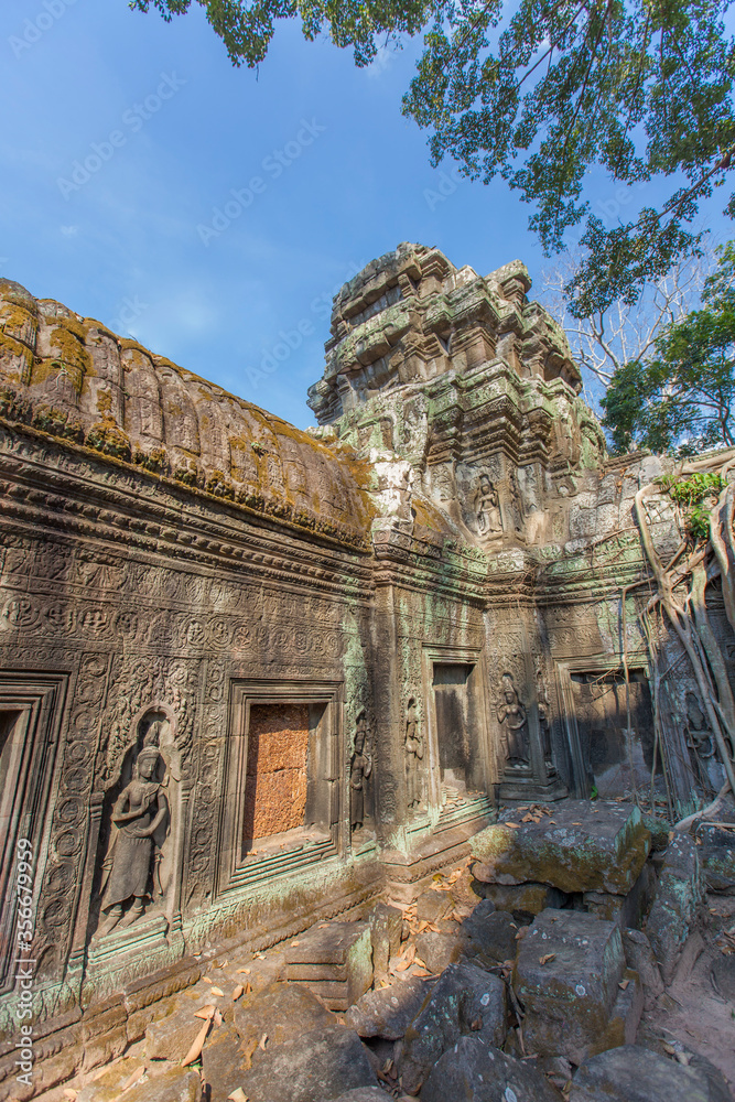 Fototapeta premium Ruins Ta Prohm temple and Banyan Tree Roots, Angkor Wat complex, Siem Reap, Cambodia.