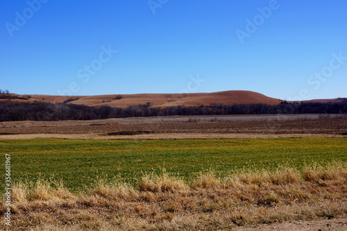 Kansas hills behind a sprouting wheat field in early spring.