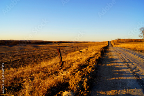 dirt road in the field