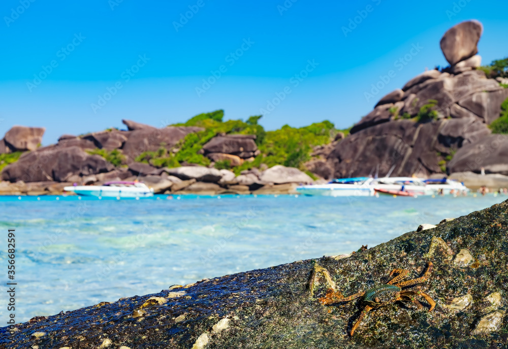 Beach natural landscape with big hermit crab on tropical Koh Similan Thai island with Sailing Boat Rock in background. Beautiful tropic nature in Thailand, blue sea waves, peaceful paradise scene