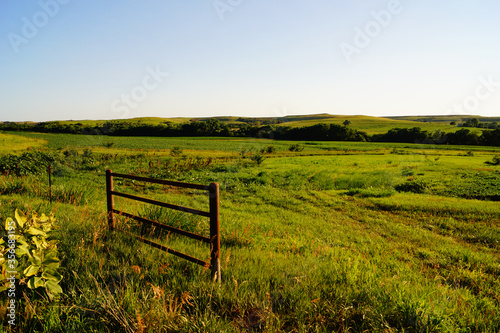 rusty fence in the field in the green Flint Hills of Kansas