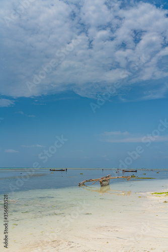 Fototapeta Naklejka Na Ścianę i Meble -  Tropical White Beach of Zanzibar Island. Tanzania. With a blue Sky and Fisherboats