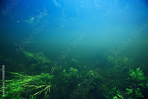 underwater texture of water in a lake / underwater photo freshwater ecosystem, water texture background © kichigin19