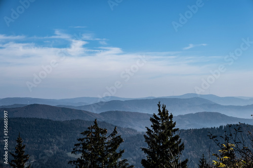 Landschaft im Schwarzwald